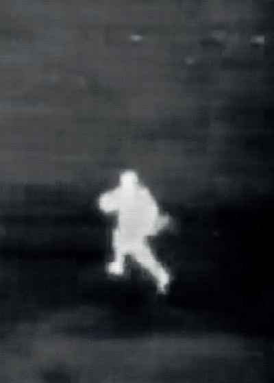 Image de Two donkeys in a war zone