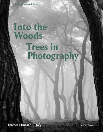 Picture of Into the Woods Trees in Photography /anglais