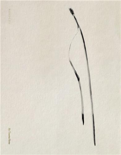 Image de Txema Yeste Needles /anglais/espagnol