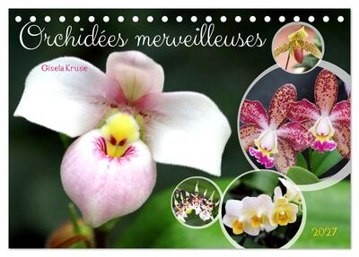 Image de Orchidées merveilleuses (Calendrier de bureau 2027 DIN A5 vertical), CALVENDO calendrier mensuel