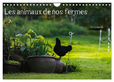 Image de Les animaux de nos fermes (Calendrier mural 2027 DIN A4 vertical), CALVENDO calendrier mensuel