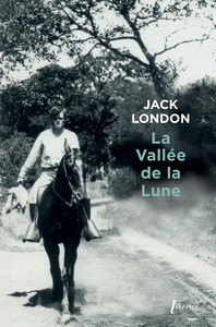 Picture of La vallée de la lune
