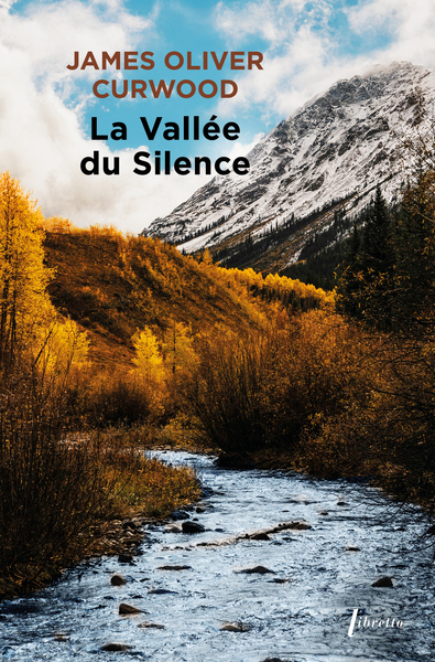 Picture of La vallée du silence