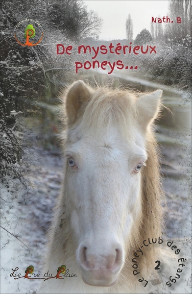 Picture of De mystérieur poneys...