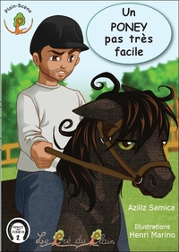 Image de Un PONEY pas très facile