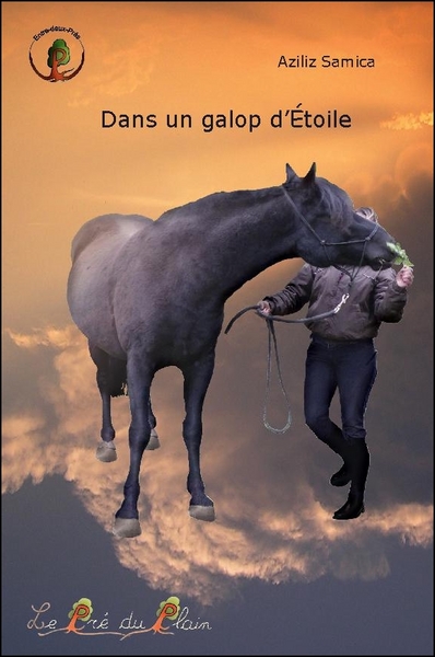 Picture of Dans un galop d'Etoile