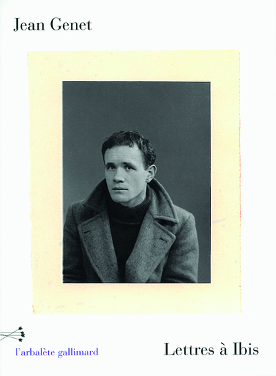 Picture of Lettres à Ibis