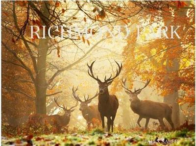 Image de Richmond Park /anglais