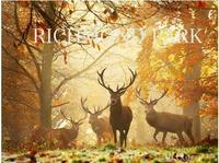 Image de Richmond Park /anglais