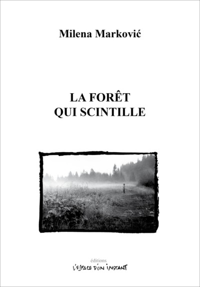 Image de La forêt qui scintille