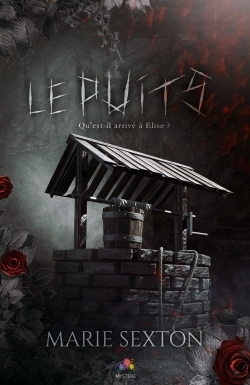 Picture of Le puits