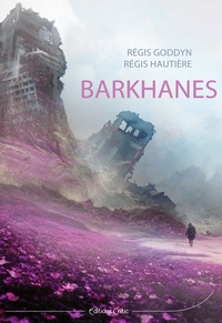 Picture of Barkhanes