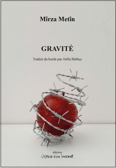 Picture of Gravité