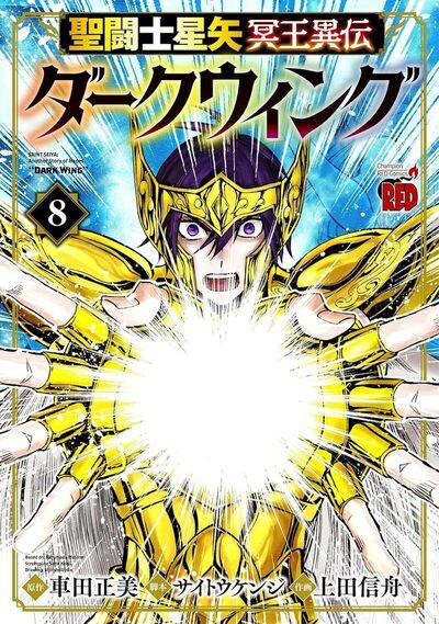 Image de Saint Seiya Dark Wing - Tome 8