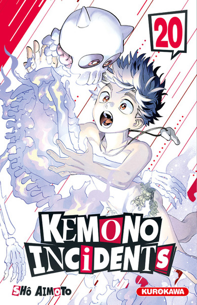 Image de Kemono Incidents - Tome 20