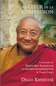 Image de AU COEUR DE LA COMPASSION