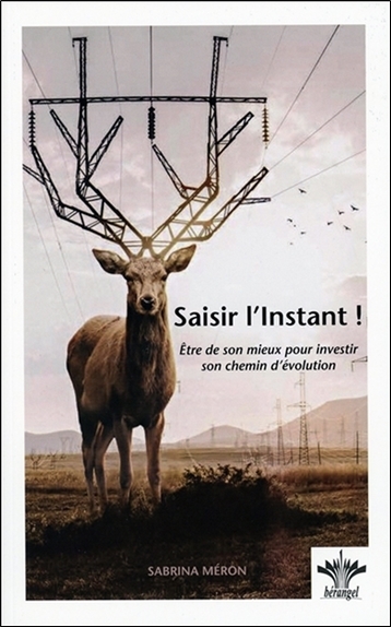 Picture of Saisir l'Instant ! Etre de son mieux pour investir son chemin d'évolution