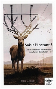 Picture of Saisir l'Instant ! Etre de son mieux pour investir son chemin d'évolution