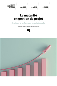 Picture of La maturité en gestion de projet