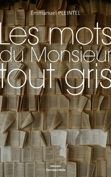 Image de Les mots du monsieur tout gris