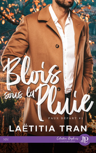 Picture of Blois sous la pluie