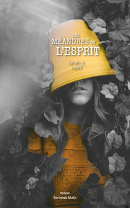 Image de Les méandres de l'esprit