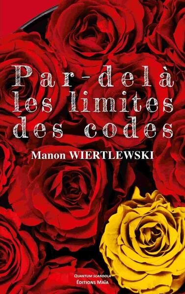 Picture of Par-delà les limites des codes