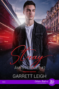 Image de Stray