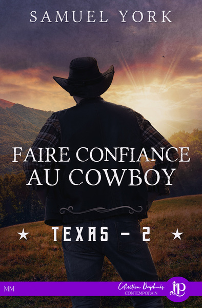 Picture of Faire confiance au cowboy