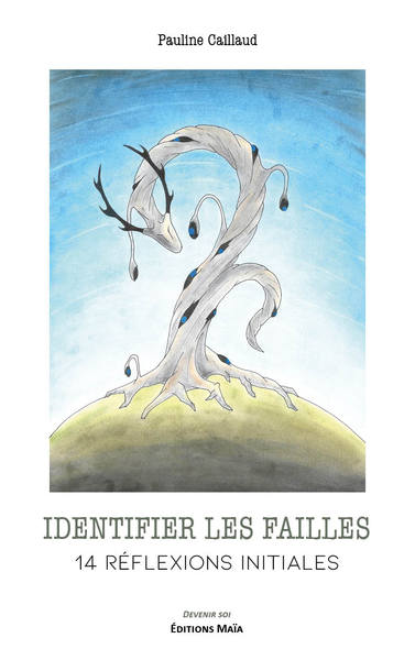 Picture of Identifier les failles