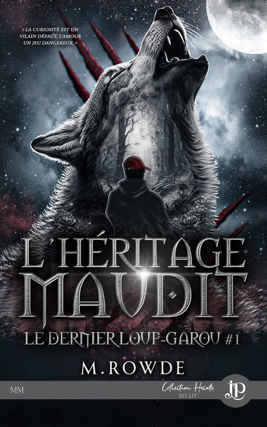 Image de L'héritage maudit