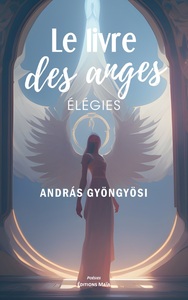 Picture of Le livre des anges