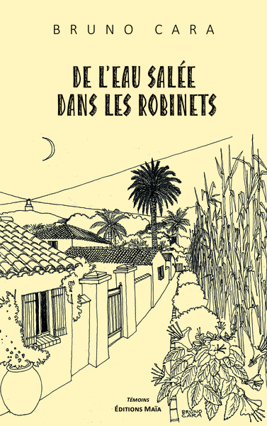 Picture of De l'eau salée dans les robinets