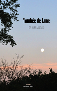 Image de Tombée de Lune