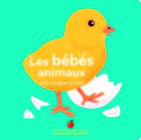 Image de Les bébés animaux