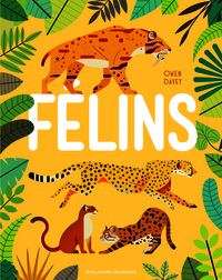 Image de Félins