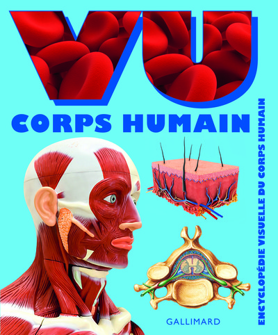 Picture of VU Corps humain