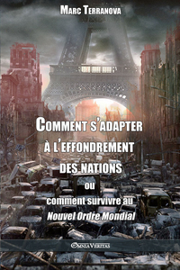 Picture of Comment s'adapter à l'effondrement des nations ou comment survivre au Nouvel Ordre Mondial
