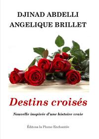 Picture of Destins croisés