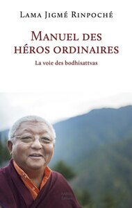 Picture of Manuel Des Héros Ordinaires