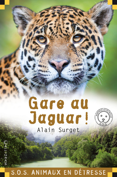 Picture of Gare au jaguar !