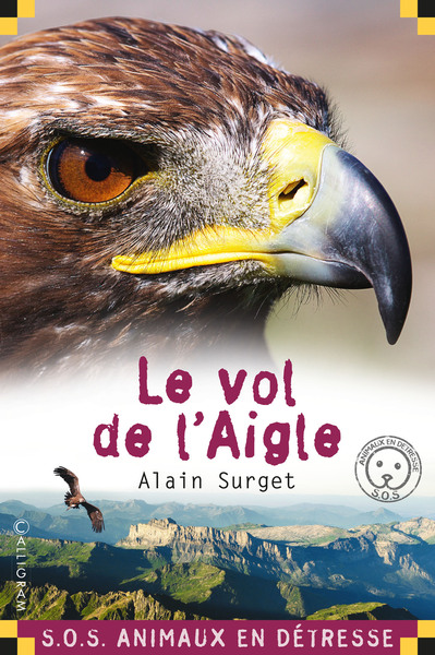Picture of Le vol de l'aigle