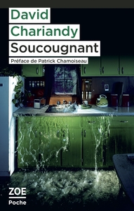 Picture of Soucougnant