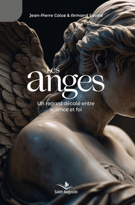 Image de Les anges: un regard décalé entre science et foi
