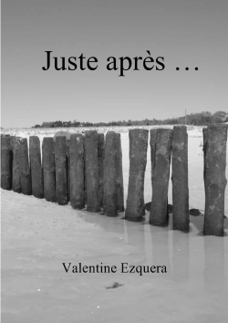Picture of Juste Après ...