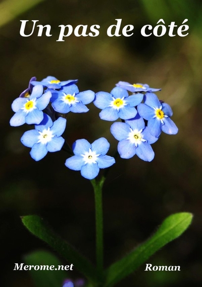 Picture of Un pas de côté