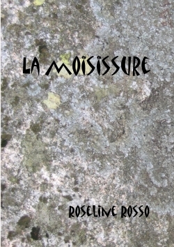 Picture of La moisissure