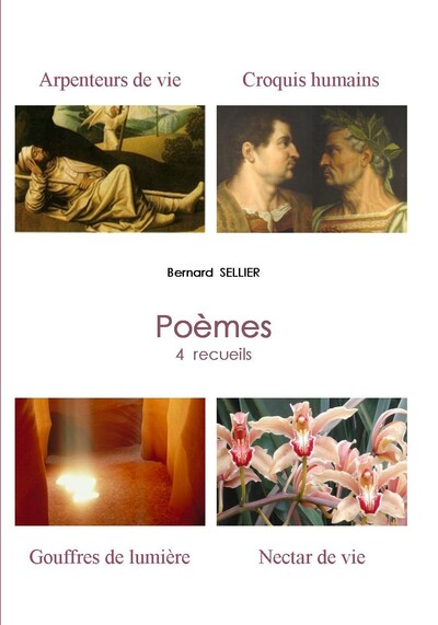 Picture of POÈMES COMPLETS