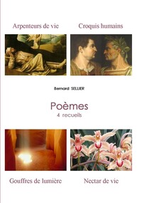 Picture of POÈMES COMPLETS