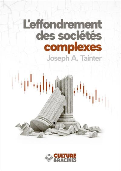 Image de L'EFFONDREMENT DES SOCIETE COMPLEXES